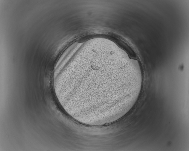 X0000116770010201001071226