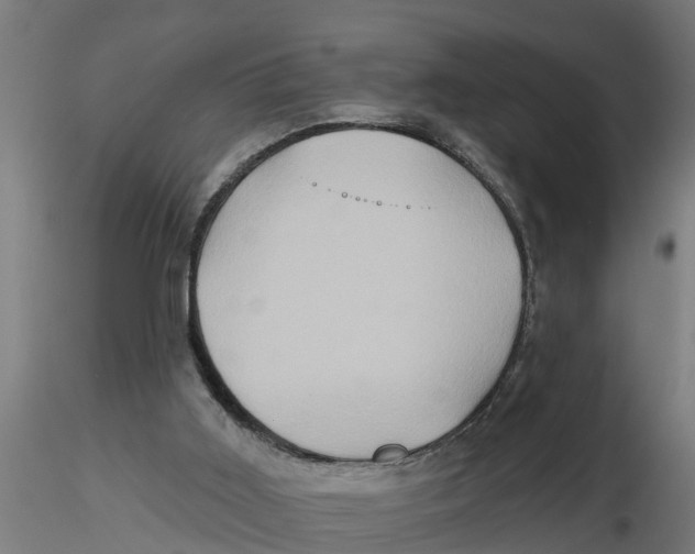 X0000116770011201001071226