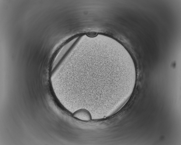 X0000116770012201001071226
