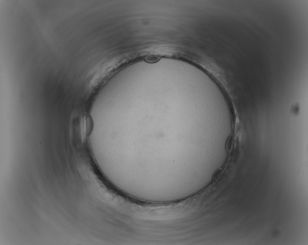 X0000116770013201001071226