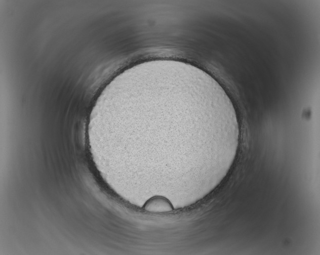 X0000116770014201001071226