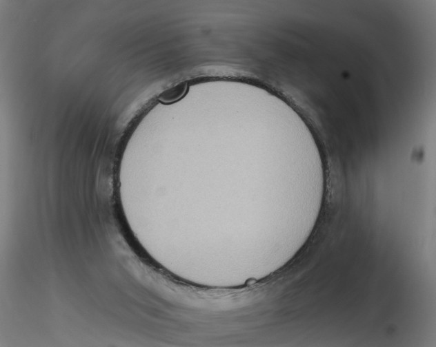 X0000116770015201001071226