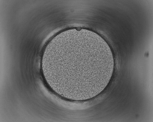 X0000116770016201001071226