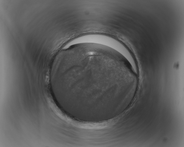 X0000116770017201001071226