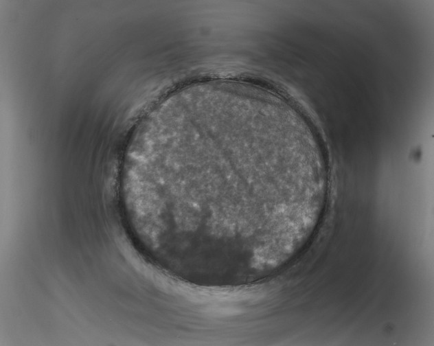 X0000116770018201001071225