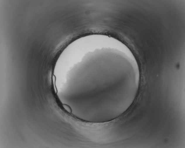 X0000116770019201001071225