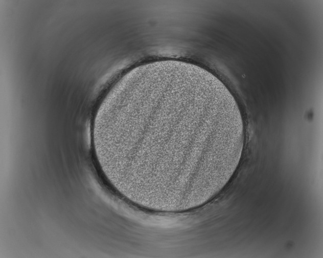 X0000116770020201001071225