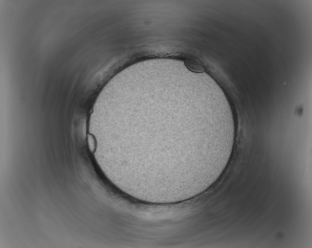 X0000116770021201001071225