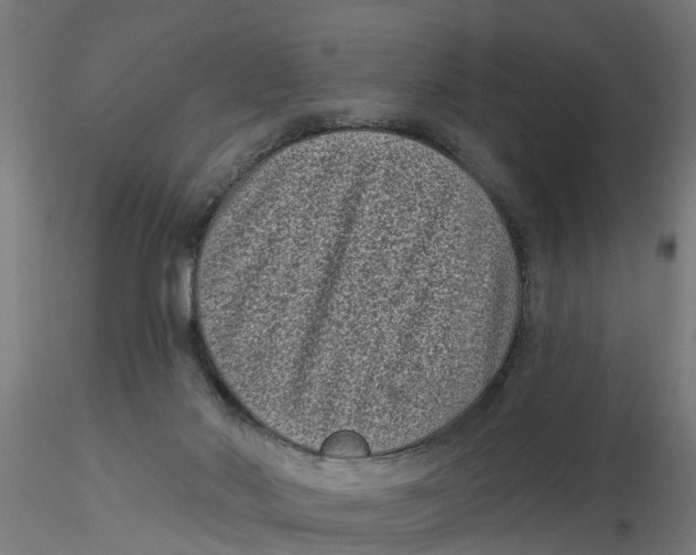 X0000116770022201001071225