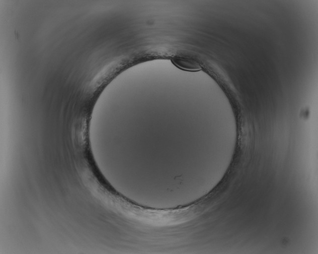 X0000116770023201001071225