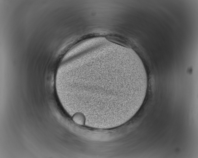 X0000116770024201001071225