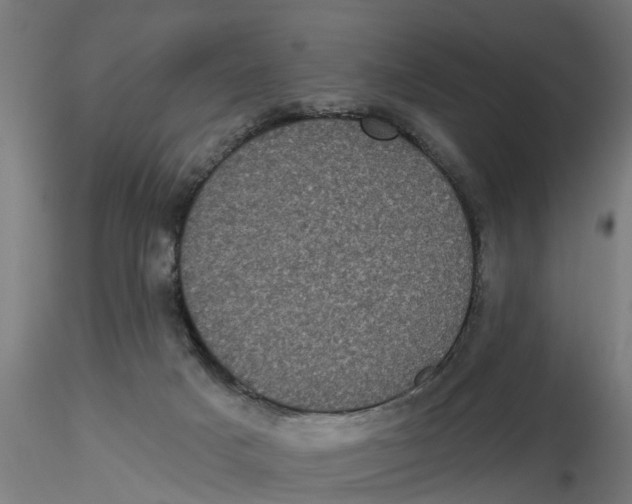 X0000116770025201001071225