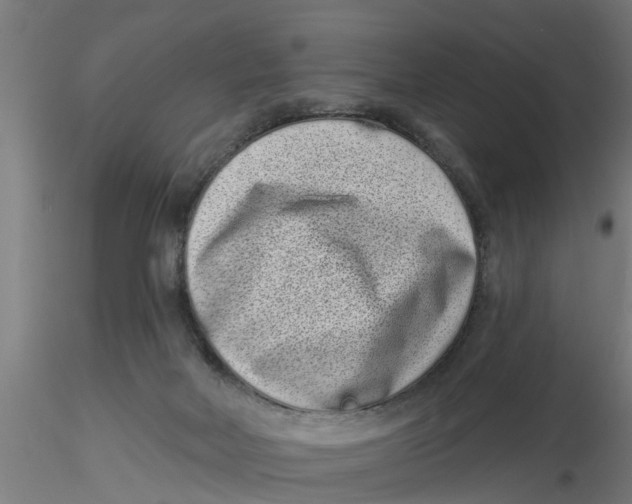 X0000116770026201001071225