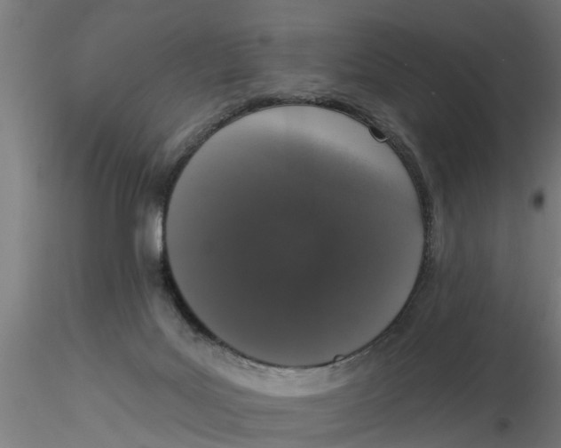 X0000116770027201001071225