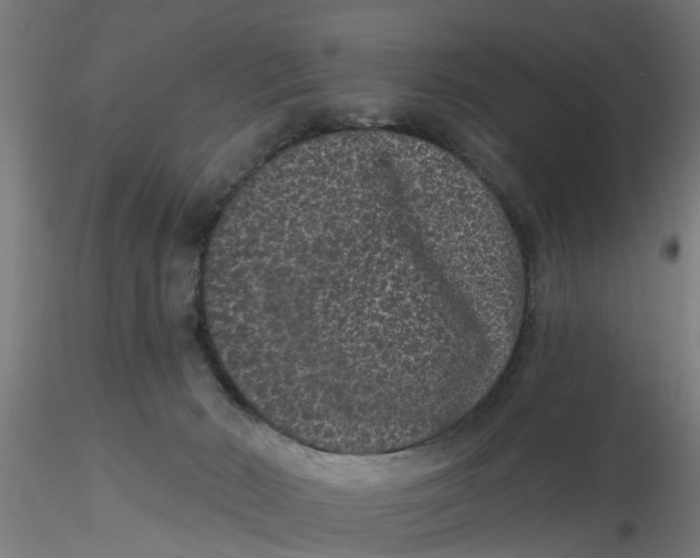 X0000116770030201001071225