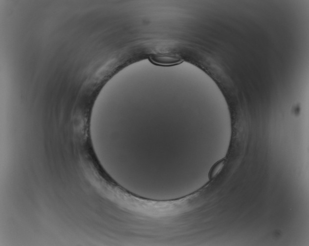 X0000116770031201001071225