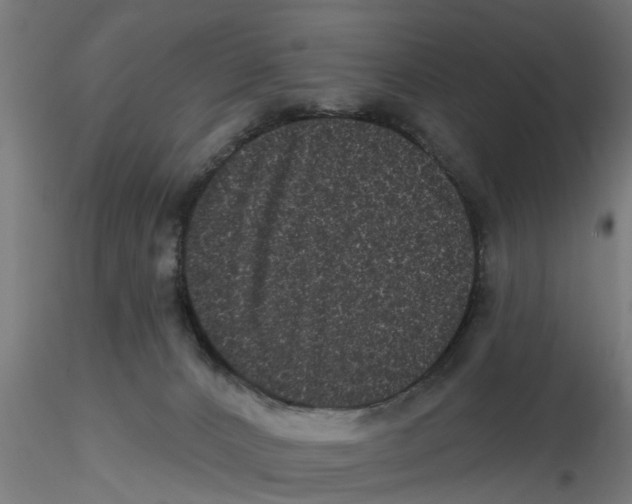 X0000116770032201001071225