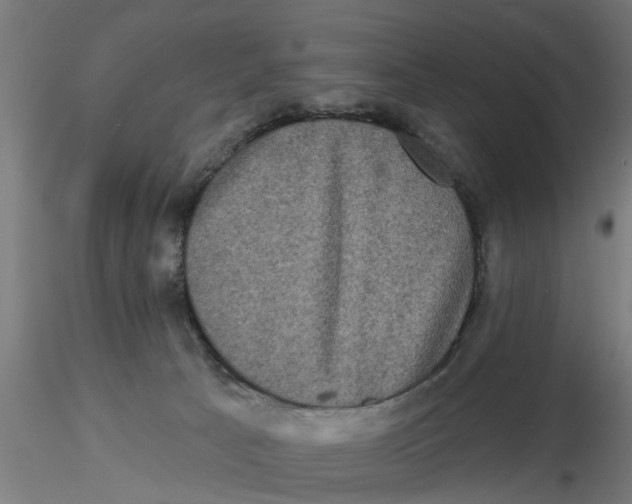 X0000116770033201001071225