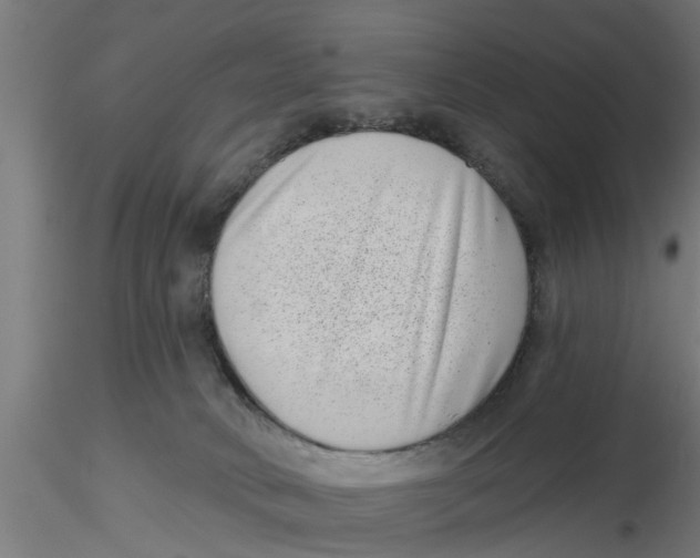 X0000116770034201001071225