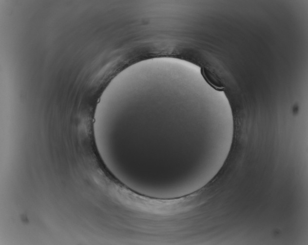 X0000116770035201001071225