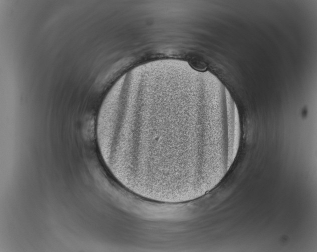 X0000116770036201001071225