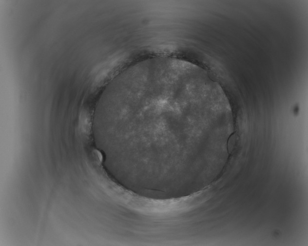X0000116770037201001071225