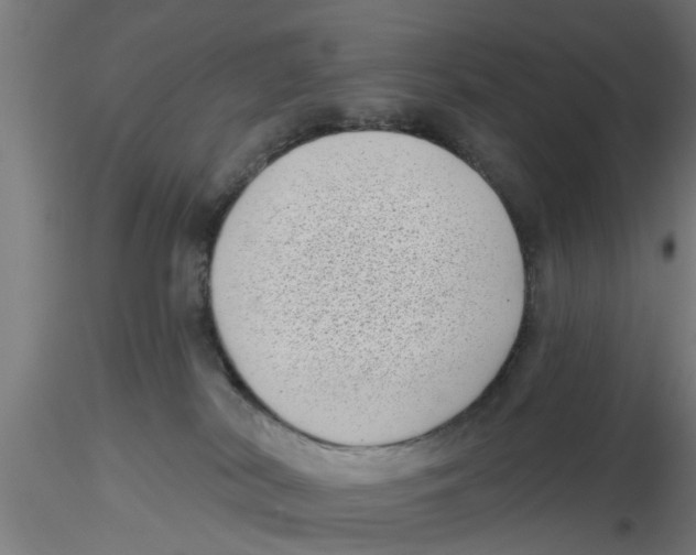 X0000116770038201001071225