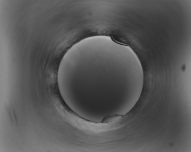 X0000116770039201001071225