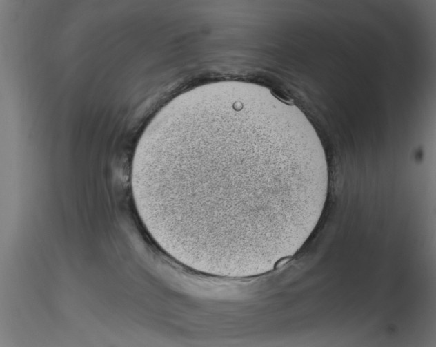 X0000116770040201001071225