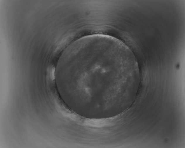 X0000116770041201001071225