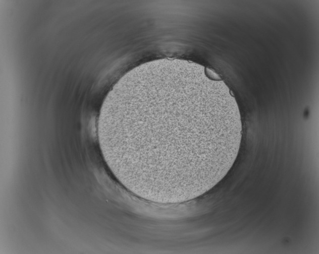 X0000116770042201001071225