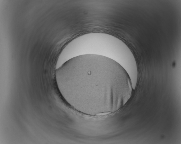 X0000116770043201001071225
