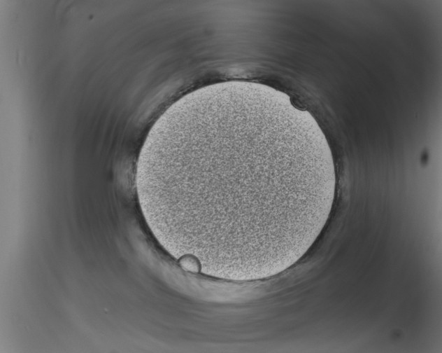 X0000116770044201001071225