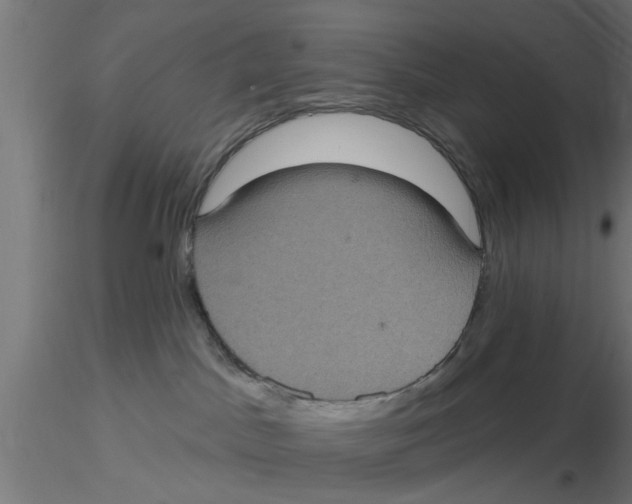 X0000116770045201001071225