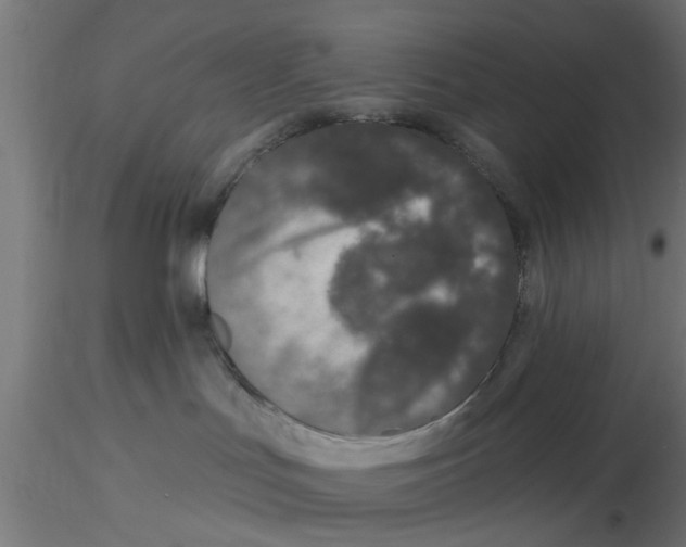 X0000116770047201001071225