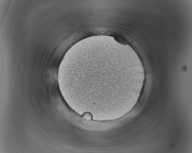 X0000116770048201001071225