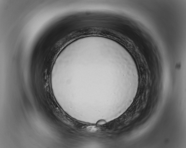 X0000116770050201001071224