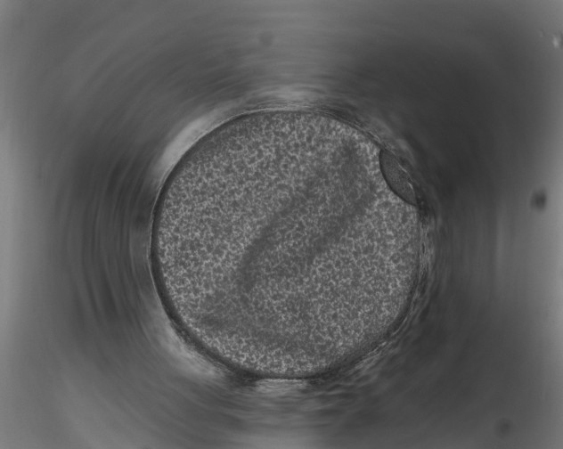 X0000116770051201001071224