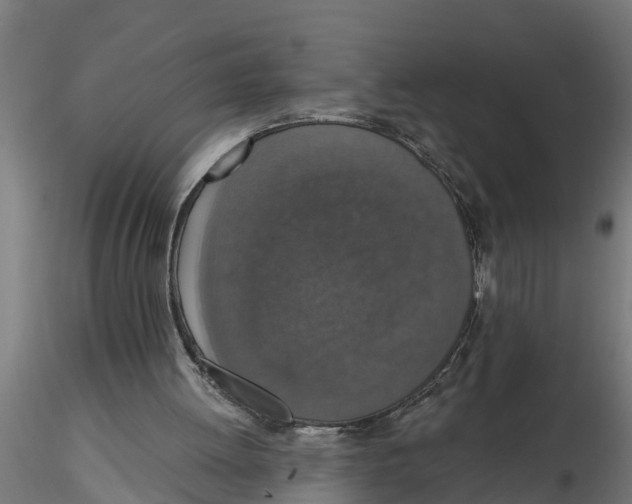 X0000116770052201001071224