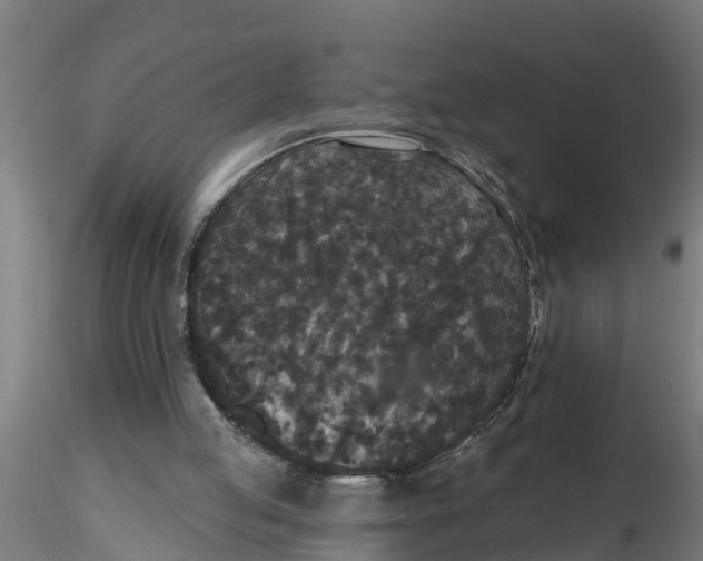 X0000116770053201001071224