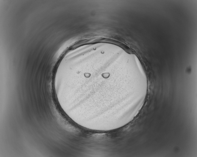 X0000116770054201001071225