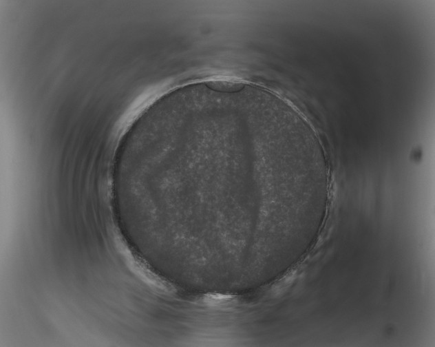 X0000116770055201001071225