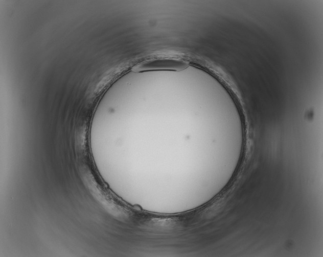 X0000116770057201001071225