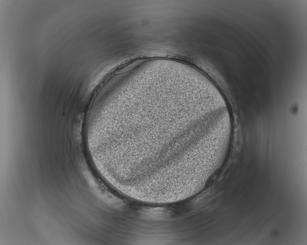 X0000116770058201001071225