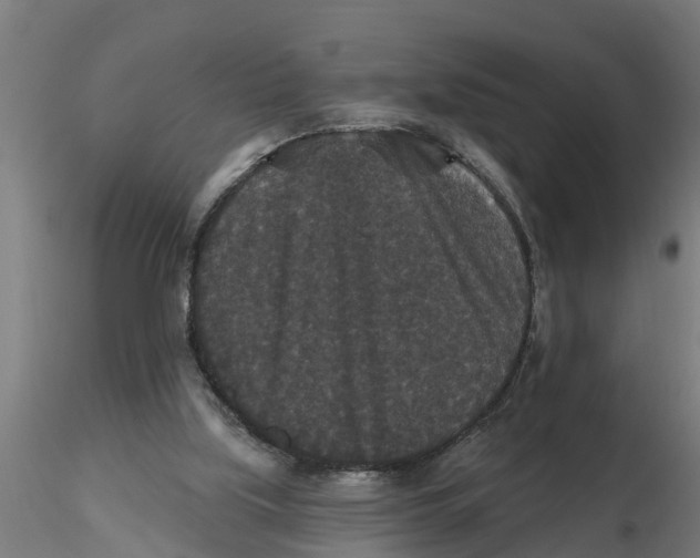 X0000116770059201001071225