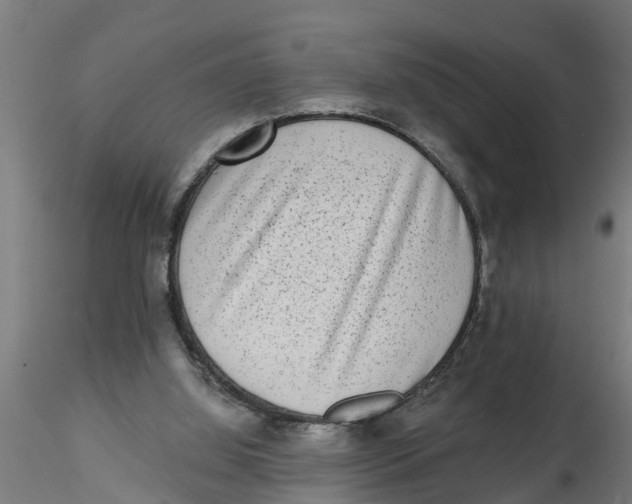 X0000116770060201001071225