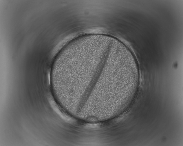 X0000116770061201001071225