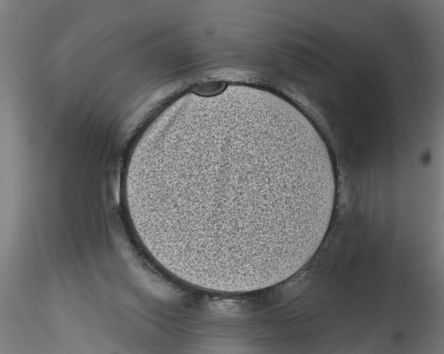 X0000116770062201001071225