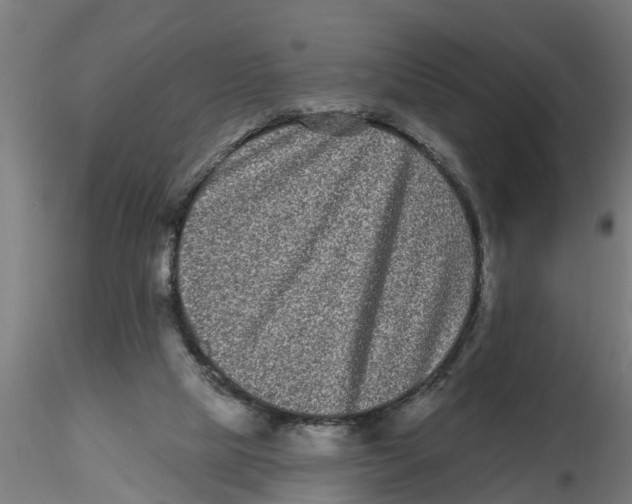 X0000116770065201001071225