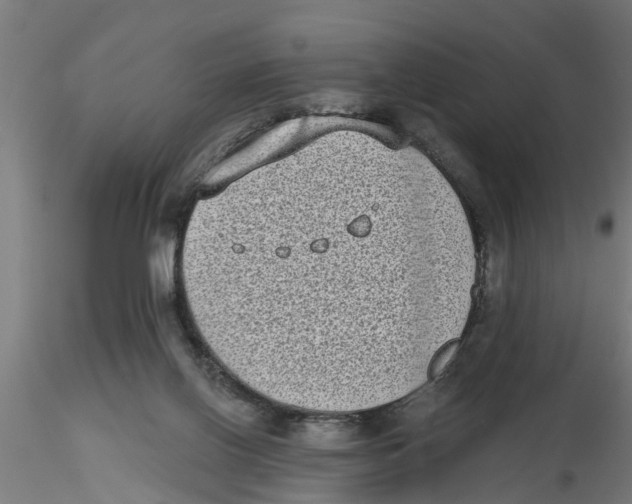 X0000116770070201001071225